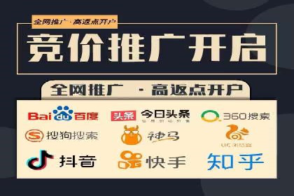 百度竞价代运营成功案例解析